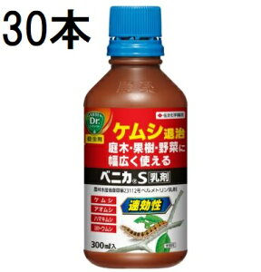 (30{P[X) xjJS 300ml Qގ E ZFw| (@llI)