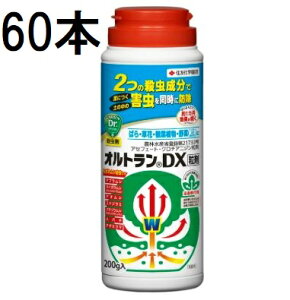 (60{P[X) ZFw| IgDX 200g Qގ E (@llI)