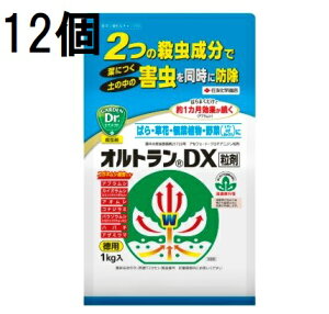 (12P[X) ZFw| IgDX 1kg Qގ E (@llI)