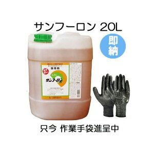 (ʌܕt)  Tt[ 20Lm WFlbN |pi _@ _ G΍ XMi |  Ɩp ߎgp A~m_n  쏜n (܂͕xmO[uBD-506)