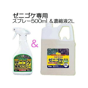 (2_Zbg) [jSPpXv[ 500ml  [jSPp Zkt 2L Ɩp pltH