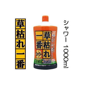 (^Cv) ͂ԃV[ 1000ml ߂gp _򐬕ȂASS pltH (^[pbNor쓙)