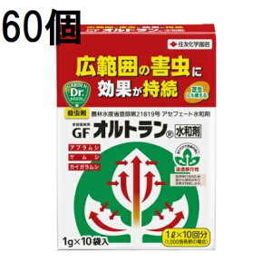 (60P[X) ƒ뉀|p GFIga 1g×10 Qގ E ZFw| (@llI)