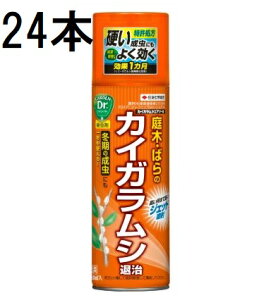 (24{P[X) ZFw| JCKVGA][ 480ml Qގ E (@llI)