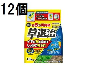 (12�Z�b�g �P�[�X����) ������ ���ގ�E���� 1.5kg �Z�F���w���| (�@�l�l�I��)