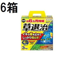 (6���Z�b�g �P�[�X����) ������ ���ގ�E���� 3kg �Z�F���w���| (�@�l�l�I��)