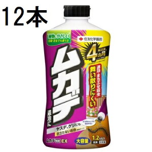 (12{P[X) JfEX 1.2kg Qގ sQE ZFw| (@llI)