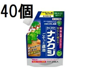 (40P[X) igbNX 250g Qގ E ZFw| (@llI)