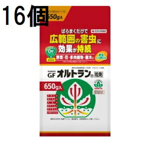 (16P[X) ZFw| GFIg 650g Qގ E (@llI)