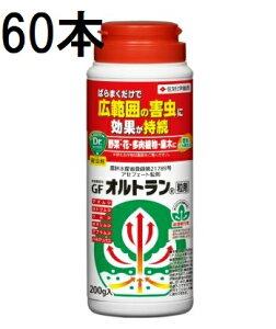 (60{P[X) ZFw| GFIg 200g Qގ E (@llI)
