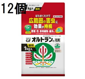 (12P[X) ZFw| GFIg 1kg Qގ E (@llI)