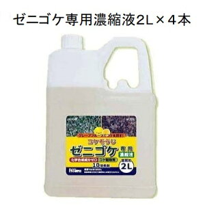 (4{Zbg) RP [jSPp Zkt 2L×4(1P[X) Ɩp pltH (SDSmF)