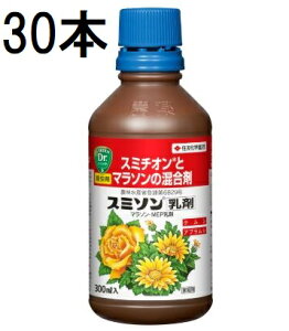 (30{P[X) X~\ 300ml Qގ E ZFw| (@llI)