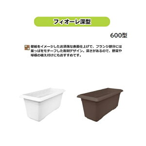 (12�Z�b�g) ���{�� �t�B�I�[���[�^ 600�^ ���S���� �t�B�I�[���v�����^�[ (�z���C�g or �`���R �F�I��) (�@�l/�l �I��) ��600mm×262mm×H265mm 20L