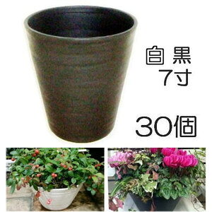 a ZA[g  7 7 Oa210×228mm FI 30̔