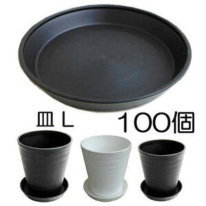 a ZA[g M(MAM)L Oa275×40mm FI 100P