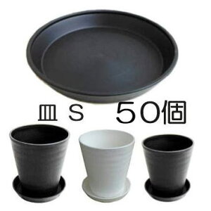 a ZA[g M(MAM) S Oa176×25mm (KF6A7A21) FI 50P zm