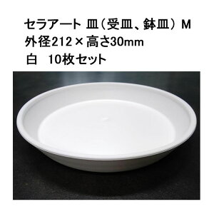 (10Zbg) a ZA[g MiMAMj M  10 (Oa212×30mm KF7A8A27)