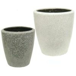 |bgV[Y uCg BR-48 ^ t@Co[OX 12Ή avX`bN