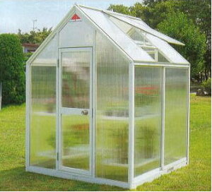 ([J[݌Ɍ) Op  v`J WP-25P ySʃ|J[{lCg hA[^Cvz2.5 g [GNXeA 돤X] sJ R[|CV