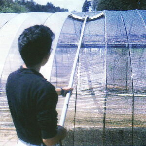 (\tg^CvփX|W1t) ؎Y nEX@ \tgN[ (nEX rj[nEX rjnEX)