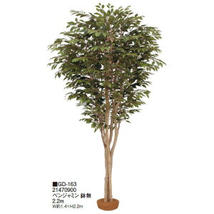 ypz^lH xW~  2.20m(GD-163 21470900)m^JV[ |pi GNXeA _@ 돤X]