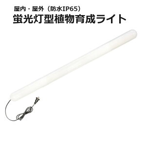 �u�����^�A���琬���C�g (KY-36W-SC) �x�m�q ���邳2900���[���� �h�o�h���ی쓙�� IP65 �������O�p