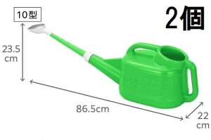 (2Zbg) VP g{ 傤 10^ 10L@zs