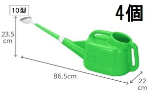 (p4Zbg) VP g{ 傤 10^ 10L@zs