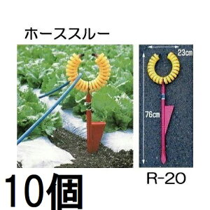 (10Zbg) z[Xx z[XX[ R-20 nbNX ێR쏊 ʐ^̃g R-TM͕ʔ@zs