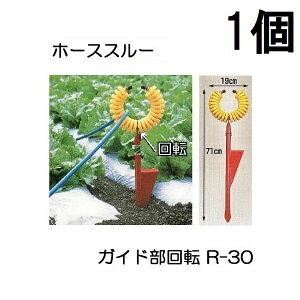 nbNX z[XX[ R-30 KCh]^Cv z[Xx ʐ^̃g R-TM͕ʔ@zs