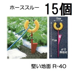 (15Zbg) nbNX z[Xx z[XX[ R-40 łn dnʗp ێR쏊 ʐ^̃g R-TM͕ʔ@(zs})