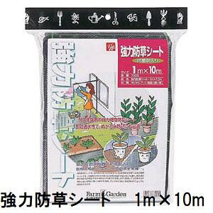 ͖hV[g (Rۍܓ) 1m×10m ʔQ 7005 L{V@zm