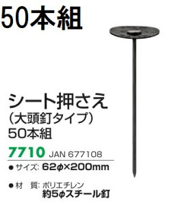 (50{Zbg) L{V V[g 62×200mm (哪B^Cv) 7710 hV[g@(zmG4)