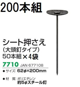 (200{Zbg) L{V V[g 62×200mm (哪B^Cv) 7710 hV[g 50{×4܁@(zmG4)