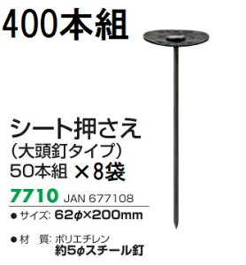 (400{Zbg) L{V V[g 62×200mm (哪B^Cv) 7710 hV[g 50{×8܁@(zmG4)