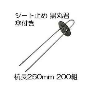 (200gZbg) یN (یN 4   X`[Y 25cm) X`[Y 250mm Pt (}` hV[g sDz̎~ߋ) V[g V[gs UsY wAsY ؎Y