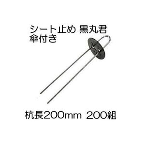 (200gZbg) یN (یN 4   X`[Y 20cm) X`[Y 200mm Pt (}` hV[g sDz̎~ߋ) V[g V[gs Us wAsY ؎Y