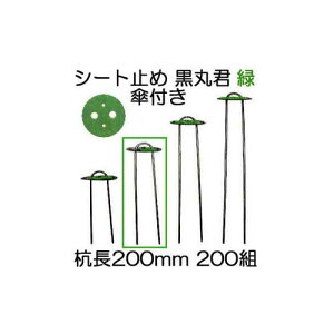 (200g) یN (یN 4   X`[Y 20cm) X`[Y 200mm Pt  (}` hV[g sDz̎~ߋ) V[g V[gs Us wAs ؎Y