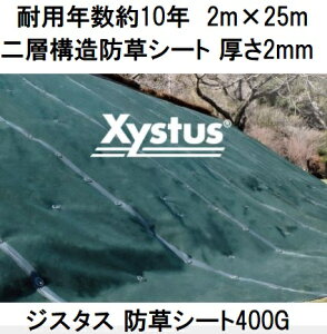 (2{Zbg) ϗpN10N WX^X hV[g 400G 2m×25m 2mm O[ XYSTUS2×25 w\hV[g ϋv ̓^Cv f| Uo[ O[tB[h (@llI)