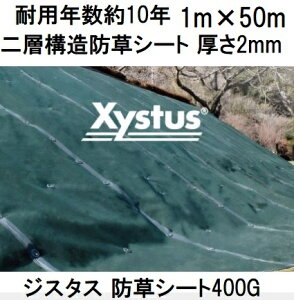 (3{Zbg) ϗpN10N WX^X hV[g 400G 1m×50m 2mm O[ XYSTUS1.0D w\hV[g ϋv ̓^Cv f| Uo[ O[tB[h (@llI)