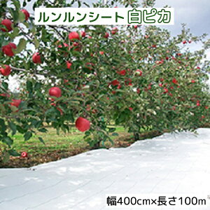 V[g sJ 400cm×100m i ՔMhV[g 򐻖 (@llI)