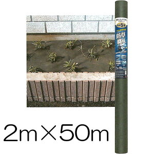 hV[g 2m×50m hEl 0.5mm XO[ HC16004 όN5N {}^C