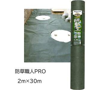 hElPRO 2m×30m 0.8mm hV[g XO[ HC16006 hElv όN10N {}^C