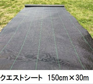 NGXgV[g  150cm×30m hV[g 򐻖 (@llI)