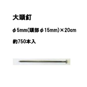 (750{) 哪B 5mm(16mm)×20cm ؎Y یNBS͕t܂ (hV[g fJs {)
