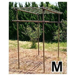 �Z�L�X�C �t���[�c�p�[�S�� M�^�C�v ���^ 1.8m×1.2m×2mH �ϐ������u�h�E�E�L�E�C�̒I�͔|�ɁB