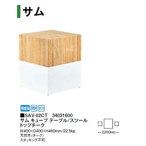 T L[u e[u/Xc[ gbv`[N (SAV-02CT 34031600) (^JV[ GNXeA K[ft@j`[ 돤X)