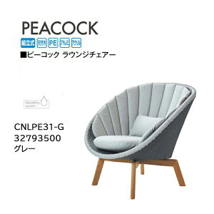 ^JV[ s[RbN EW`FA[ O[ (CNLPE31-G 32793500) (^JV[ GNXeA K[ft@j`[ 돤X)yuas