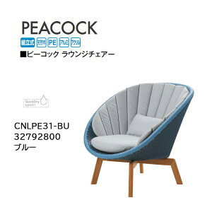 ^JV[ s[RbN EW`FA[ u[ (CNLPE31-BU 32792800) (^JV[ GNXeA K[ft@j`[ 돤X)yuas